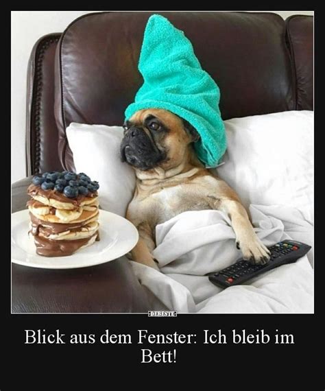 Sch�nen abend bilder, gb pics, gb bilder und g�stebuchbilder.jetzt neu, alles auch bei facebook posten. Besten Bilder, Videos und Sprüche und es kommen täglich ...