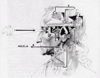 The original definition can be found in the 1972 publication autopoiesis and cognition: Home somatisch.io