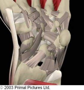 De Quervain's Syndrome - Bodymotion Spine & Sports ...