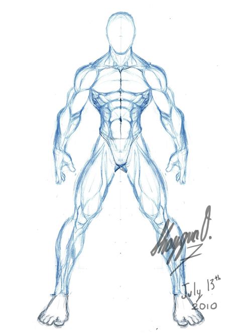 This tutorial will study the male back and arms, exploring the natural rhythm of the muscles, and the expressiveness they display when they work in reference photo of the author in a relaxed pose. Male Anatomy Template: Front by ~Shintenzu on deviantART ...