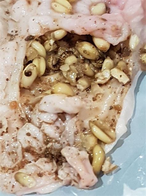 How to tell if ground pork and sausage is bad. Chicken bought at Coles in Melbourne found with maggots ...