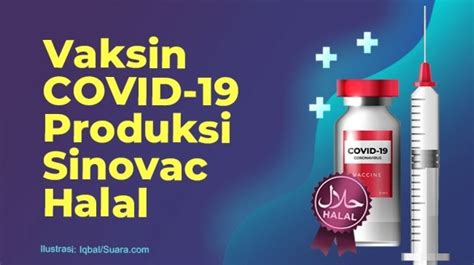 Vaksin sinovac yang dikenal juga dengan nama coronavac sudah mendapat izin penggunaan darurat dari. INFOGRAFIS: Vaksin Covid-19 Produksi Sinovac Halal