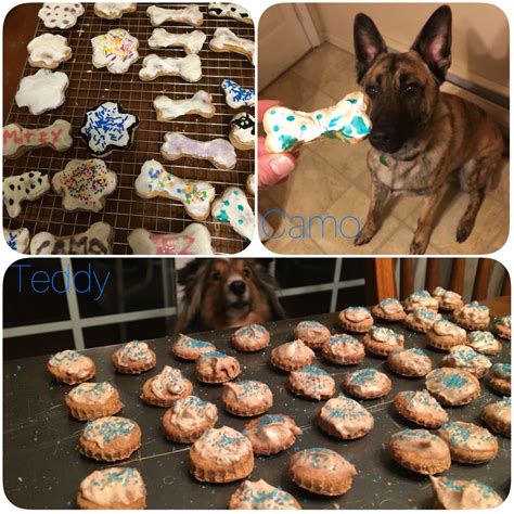 I wanted to be able to share more low calorie dog treat recipes, so that people who love to give their pets treats can, without packing on the pounds. Homemade Dog Treats featuring Camo & Teddy! Dogs love them and they're without a doubt cheaper ...