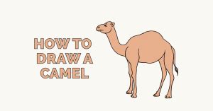 It will consume carrots to replenish its transporting via camel is faster, but not much inventory space/weight capacity to maximize profit with time invested. How to Draw Clouds - Really Easy Drawing Tutorial