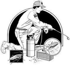 Do i have to leave the house during pest control? Frequency of Pest Control