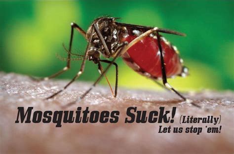 We offer free shipping on all products and personalized advice on any pest control problem. Protecting Yourself from Mosquito Bites
