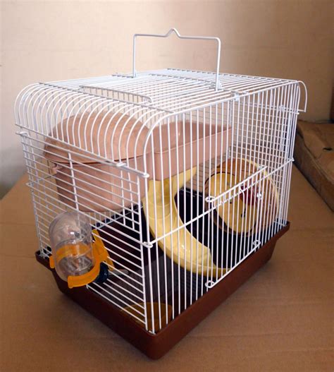 873 x 900 jpeg 91 кб. Hamster Picture 835 1000 Jpg / 2 hamsters + hamster wheel ...