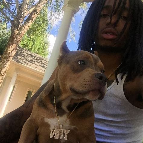 Migos, buddah bless, quavo, offset, takeoff. Migos (Quavo, Takeoff and Offset) Pets - Celebrity Pet Worth