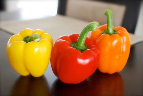 These are scientifically known as capsicum annuum and belong to the category of nightshade (solanaceae) family of plants. Five Delicious Vegetables to Plant in June | Dengarden