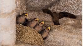 Luis fernando gonzalez, los angeles, california. El guardián invisible, de Fernando González Molina. ¿Género noir o criminal?