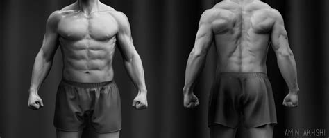 Check spelling or type a new query. Male Torso by Amin Akhshi | Realistic | 3D | CGSociety ...