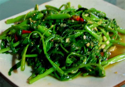 Cara menanam kangkung untuk pemula. kangkung cah polos | anggi soegito | Flickr