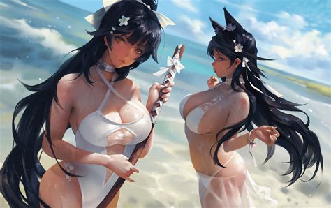 Up, down = for zoom in and out tps mode. Azur Lane- Atago and Takao, Taejune Kim | MyConfinedSpace