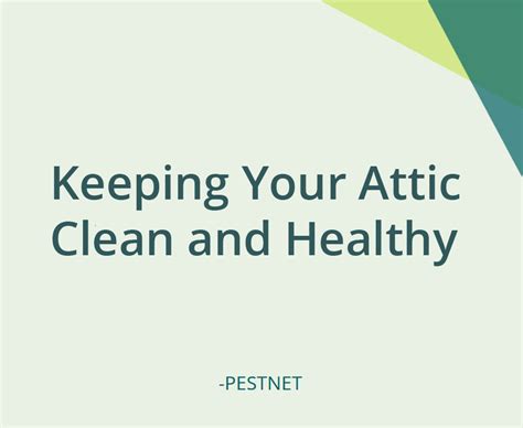 Professional societies and ecologically based pest management: Keeping Your Attic Clean and Healthy | Pestnet®