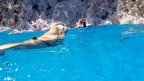 In più alle piscine di venere, a seconda delle correnti talvolta si crea una piccola spiaggetta di sabbia bianca, davvero di pochi altri due video per contestualizzare le piscine di venere, prima il video. Sardinia Coast To Coast - Piscine di Venere - YouTube