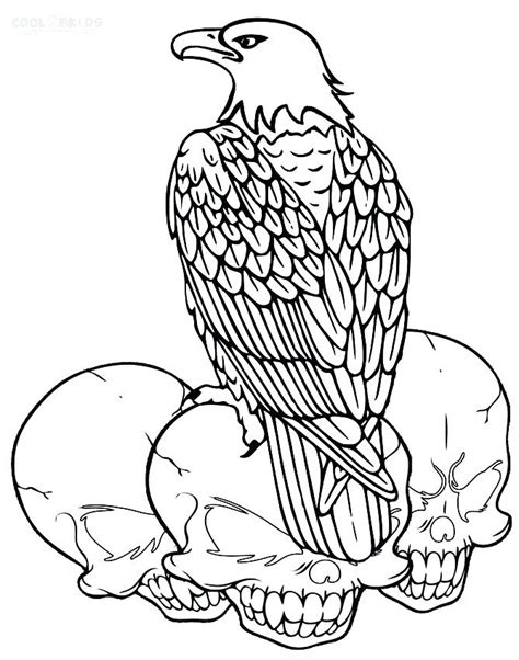 Habitat destruction and degradation, illegal shooting, and the contamination of its food source, largely as a consequence of ddt , decimated the eagle population. Bald Eagle Head Drawing at GetDrawings | Free download