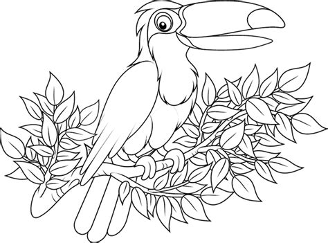 Free educational coloring pages and activities for kids. Toucan Coloring Pages to download and print for free