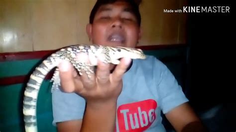 Menemukan cara mengatasi masalah hidup merupakan ihtiyar merubah hidup menjadi lebih baik. Cara mengatasi masalah sa'at merawat beby salvator/ anakan ...