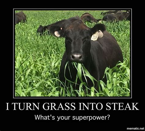 So i set it the random tick speed to 1000 (enough to make a fast process of. I turn grass into steak... what's your superpower? | Super ...