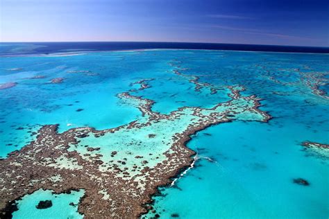 Naturpark shark bay die shark bay ist eine haifischbucht in western australia und stellt den westlichsten punkt australiens dar. Sehenswürdigkeiten Australien: Alle Highlights im Überblick