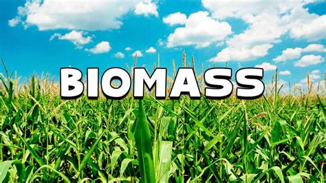 Three biomass demand scenarios, viz. Biomass Energy Sources