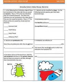 Start studying amoeba sisters genetic drift. Use our handouts and looking for answer keys? Check out ...