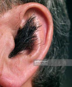 If the eyes are the windows to the soul, then the ears are the windows to the heart. ear-hair-removal-methods-home-natural.jpg | Hair Mag