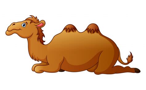 Illustrazione del cammello divertente carino. Simpatico cartone animato di cammello | Vettore Premium