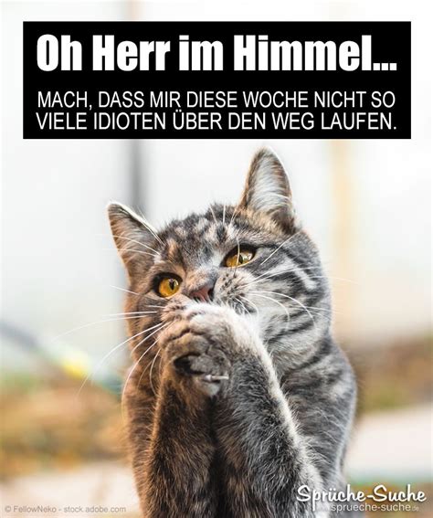 März 2020 ist der 100. Wochenstart und Montag - Lustiger Spruch mit Katze in 2020 ...