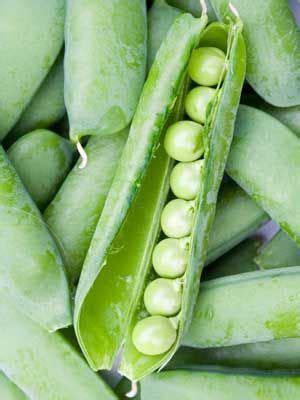 Click on a pest to be taken to a page full of useful information about how to identify it and prevent problems. Peas, also known as Mangetout | Growing vegetables, Edible garden, Vegetables