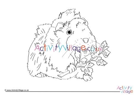 If you are in love with your guinea pig, show the world and print a page to color. Guinea Pig Colouring Page 2