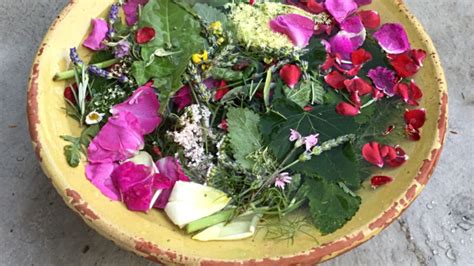 Per preparare l'acqua di san giovanni bisogna andare in campagna, in un luogo incontaminato, e raccogliere tutte le erbe e i fiori profumati che si incontrano nel cammino. Acqua di San Giovanni, come si prepara e i suoi poteri ...