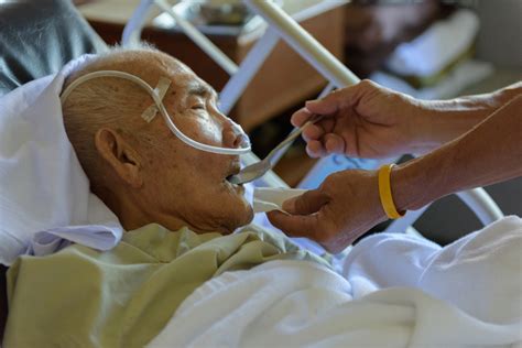 What kinds of cancer do cats get? A Letter from a Lung Cancer Patient (Part 2) - Onco blog