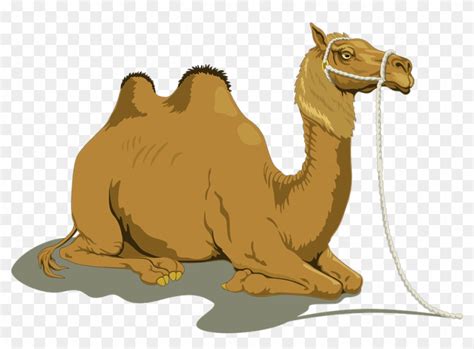 Choose from a wide range of similar scenes. Camel Clipart Animated - Camel Vector - Free Transparent ...