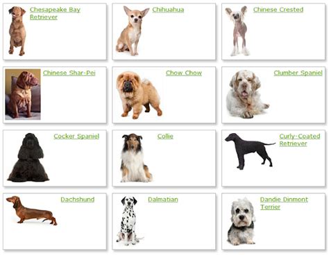 Many of the varieties of cats listed here are pedigreed and recognized by the cat fanciers association(cfa), the world's largest cat organization. Dog Breeds List With Picture | Dog Breeds Alphabetical ...