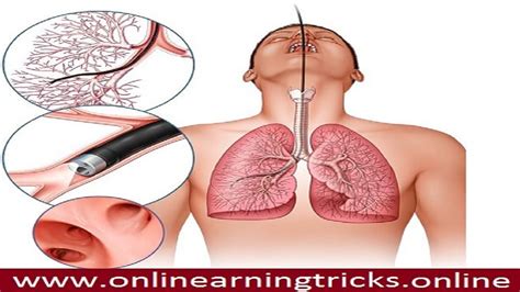 There are some environmental exposures or toxins that almost everyone is being exposed to, yet for whatever reason, women seem to be more susceptible to. diagnosis testing healthy people for lung cancer - YouTube