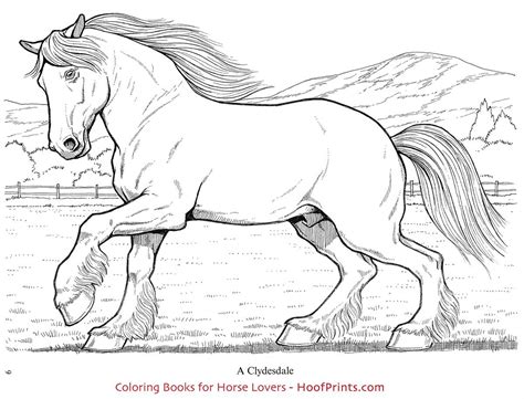 All of our coloring pages and sheets are free and easy to print! Clydesdale Coloring Pages - NEO Coloring