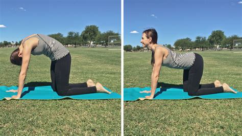 Start on your hands and knees on an enter cow pose as you inhale by looking up and stretching your chest forward as you simultaneously press your hips upward, trying to articulate your. Mid Back Stretches: Release and Relieve