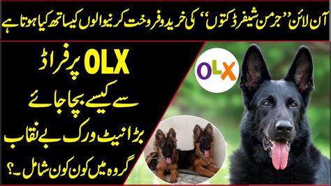 Any profitable pricing strategy uses average and actual selling price. Olx Network Exposed In Pakistan||Olx group Play With ...