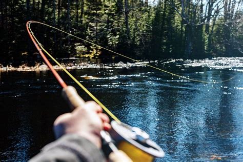 There are also several varieties of fish found in the lake. The Best Year-Round Fishing Places in America | Trip ...