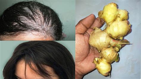 If you study nature deeply enough, you should know that nature would never create something that has no many spiritual gurus believe that having long hair can help stimulate the kundalini energy in the body more effectively, which in turn causes. How to Grow Long and Thicken Hair with Ginger at Home ...