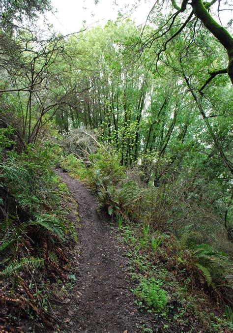 Maybe you would like to learn more about one of these? The East Bay's Most Incredible Hikes | Bay area hikes ...