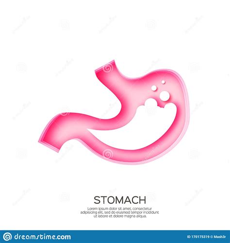 With a ph between 1 and 3, gastric acid plays a key role in digestion of proteins by activating digestive. Reflusso Dell'acido Dello Stomaco, Acido Gastrico In Stile ...