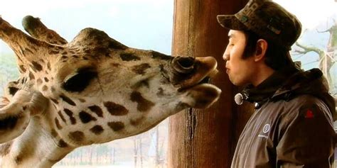 Running man special tour in nanjing giraffe with giraffe ㅋㅋㅋ. Look at Funny Moments of Lee Kwang-soo's Appearance on ...