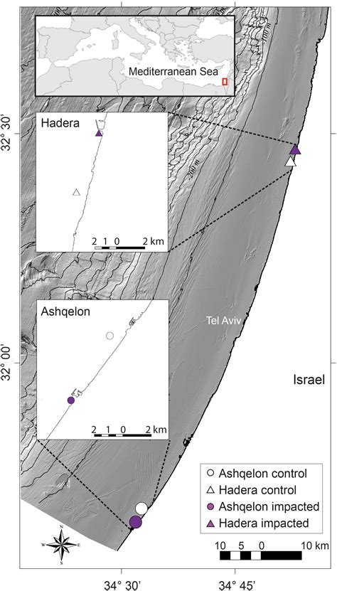 Radiocarbon dating a technique for measuring the age of organic remains based on the rate of decay of carbon 14. Radiocarbon dating method pdf printer. Harfa cantari ...