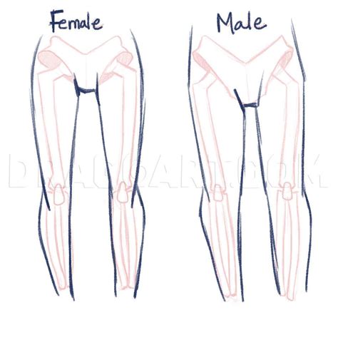 We did not find results for: How To Draw Anime Anatomy, Step by Step, Drawing Guide, by PuzzlePieces | dragoart.com in 2020 ...