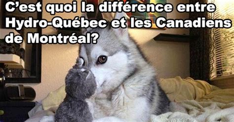 L'ancien capitaine brian gionta se joint à brendan gallagher le temps d'un café virtuel pour discuter de leur expérience à montréal. Hydro-Québec vs Les Canadiens de Montréal