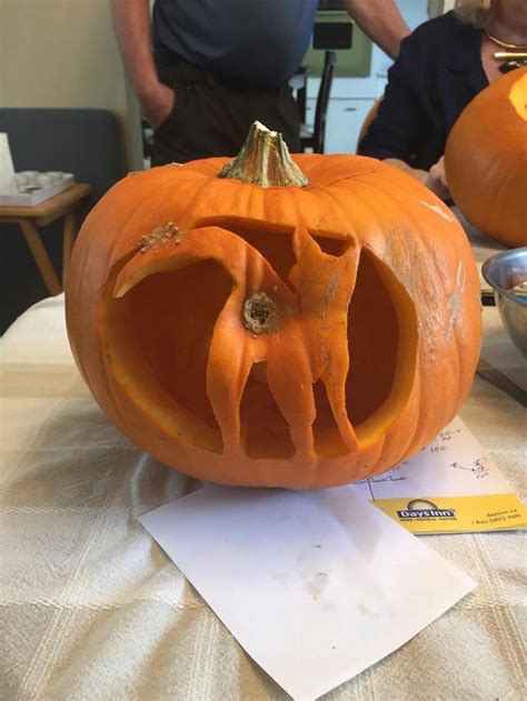 Can you remember the numbers on other players' cards? 11 awesome cat pumpkin carving ideas!