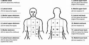 Body Mapping Of Cutaneous Wetness Perception Across The Human Torso
