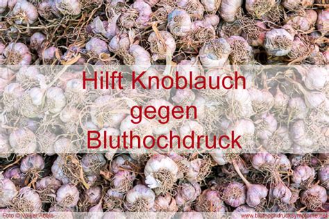 Von einem zu hohen blutdruck sprechen mediziner ab einem wert von 140 zu 90 mm hg und höher. Mit Knoblauch den Blutdruck senken - Bluthochdruck-Symptome